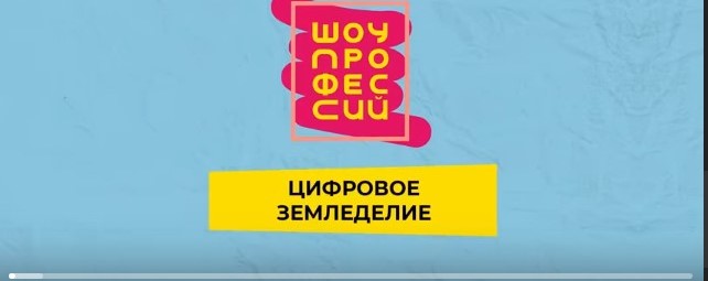 Шоу профессий.